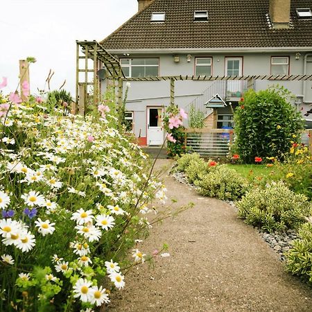 Bed and Breakfast Eagle Heights Enniscrone Zewnętrze zdjęcie
