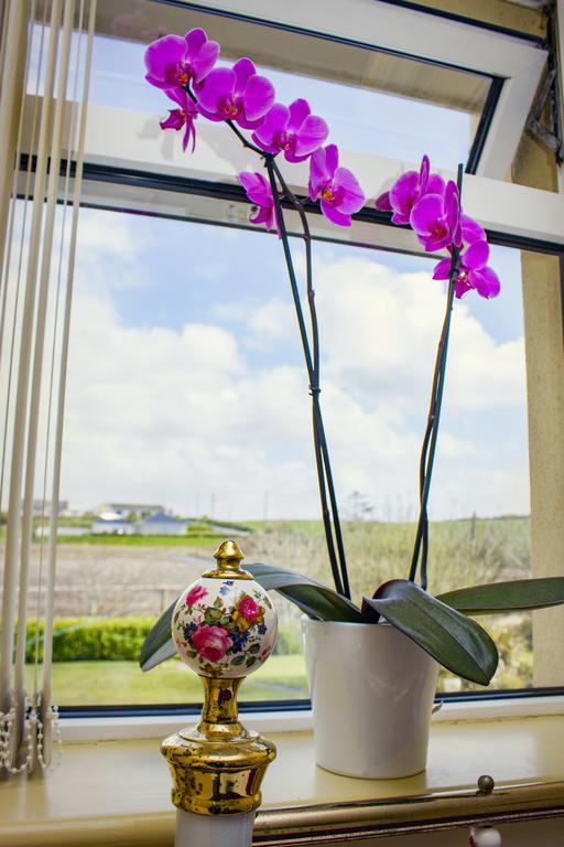 Bed and Breakfast Eagle Heights Enniscrone Zewnętrze zdjęcie