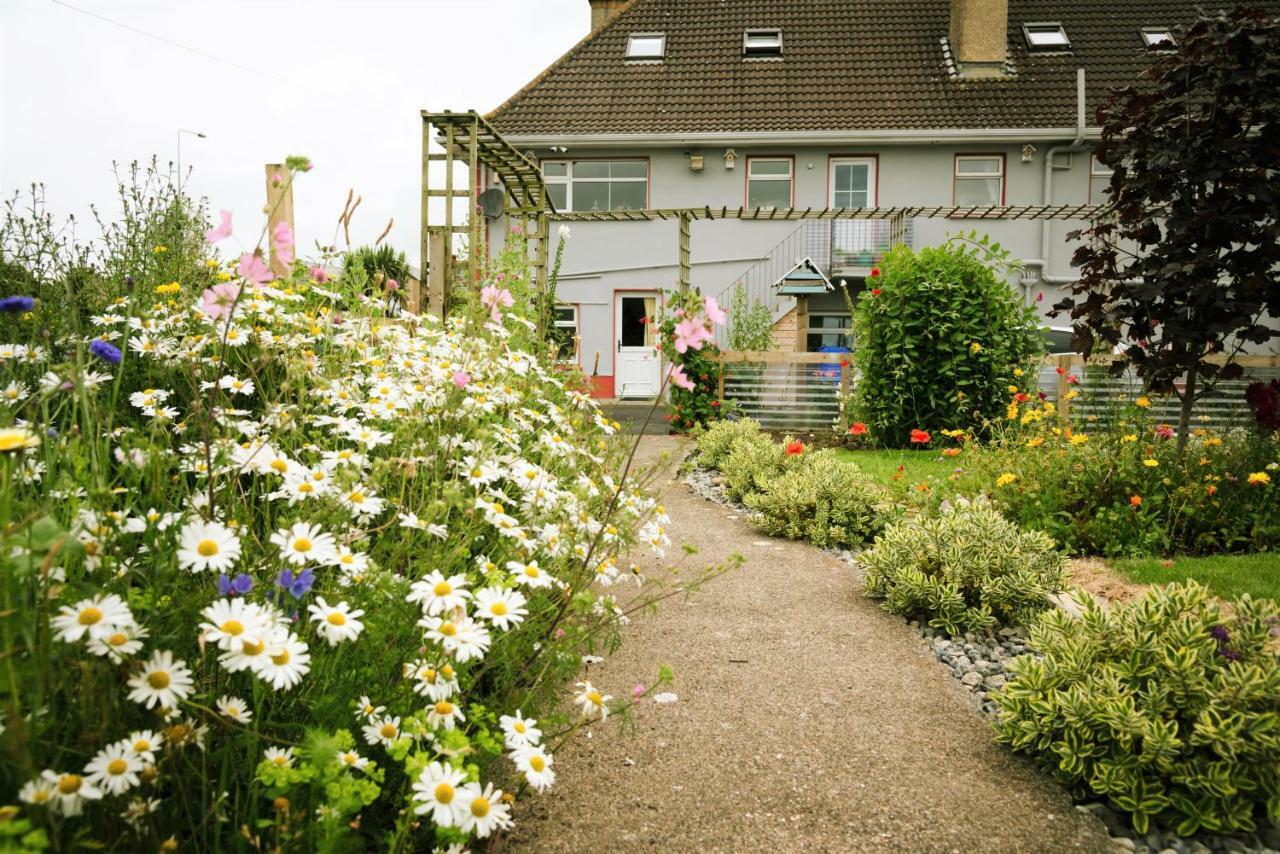 Bed and Breakfast Eagle Heights Enniscrone Zewnętrze zdjęcie