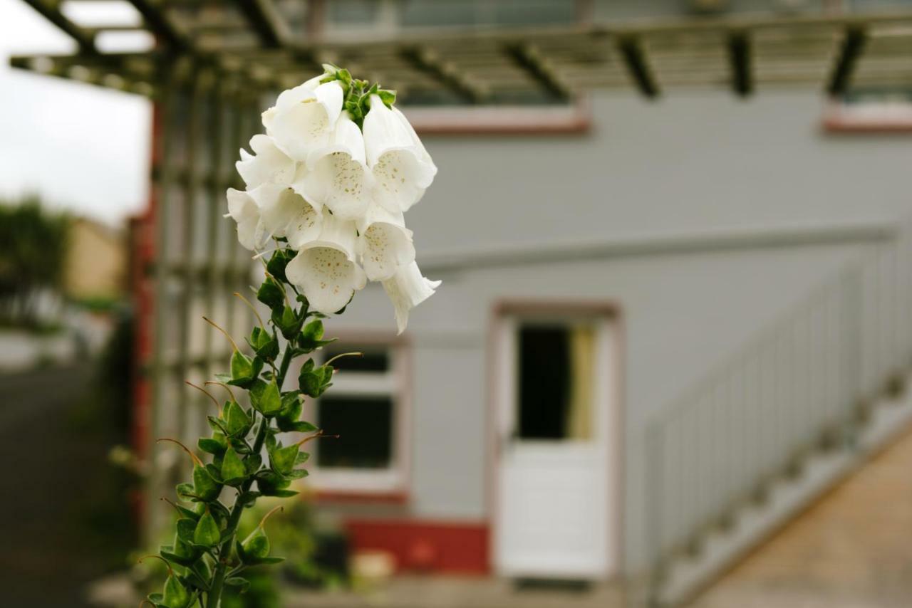 Bed and Breakfast Eagle Heights Enniscrone Zewnętrze zdjęcie